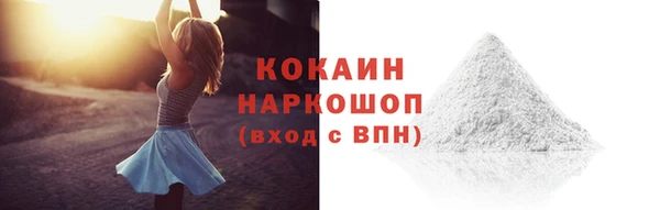 спайс Кулебаки