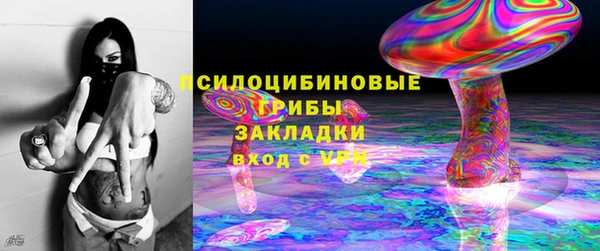 спайс Кулебаки