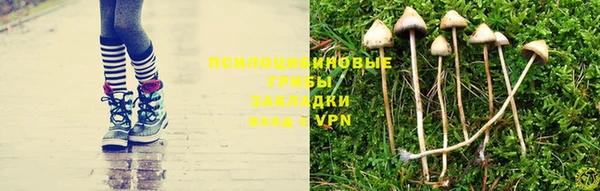 Альфа ПВП Куйбышев