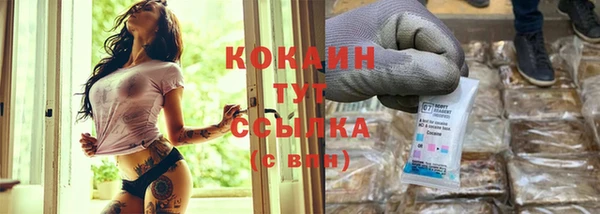 спайс Кулебаки
