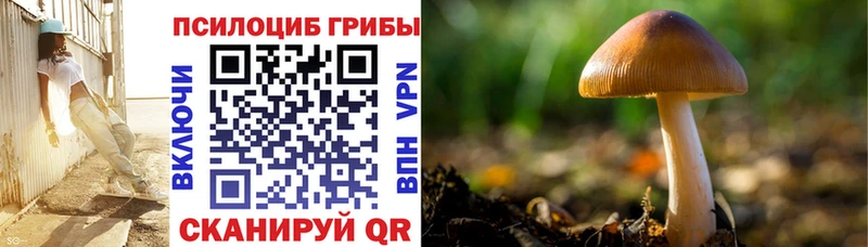 Купить Новая Ладога Галлюциногенные грибы Magic Shrooms