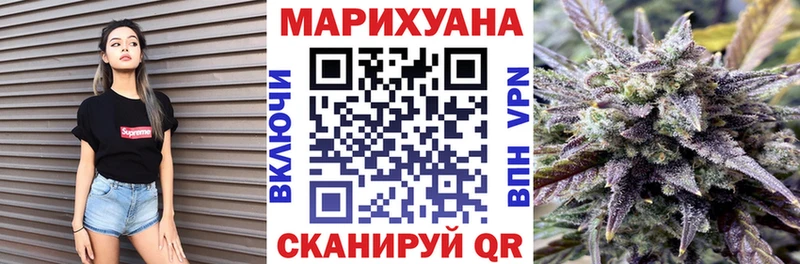 Купить закладки  Новая Ладога  Канабис марихуана 
